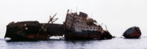 Loullia shipwreck, Sharm el Sheikh, Nikon F65,Nikkor 28-8... by Philip Norris 